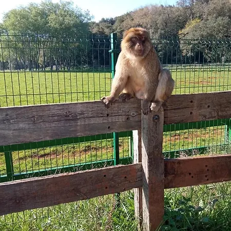 Hébergement de vacances Vivienda Rural La Mazuga *