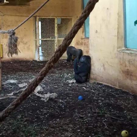 Vivienda Rural La Mazuga