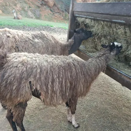 Vivienda Rural La Mazuga