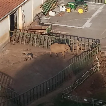 Vivienda Rural La Mazuga Casa de Férias Cabarceno