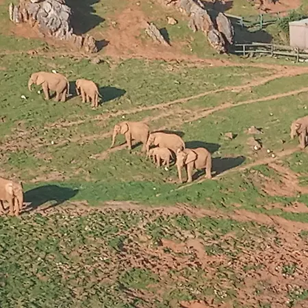 Casa de Férias Vivienda Rural La Mazuga Cabarceno