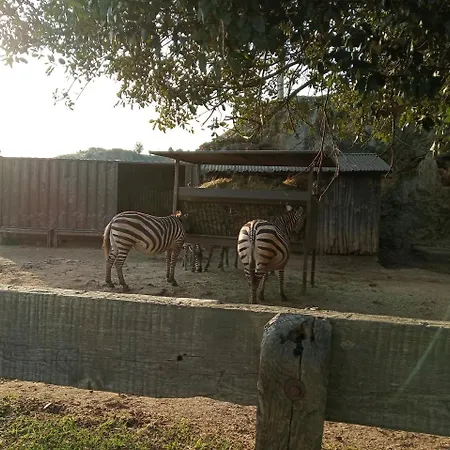 Vivienda Rural La Mazuga *