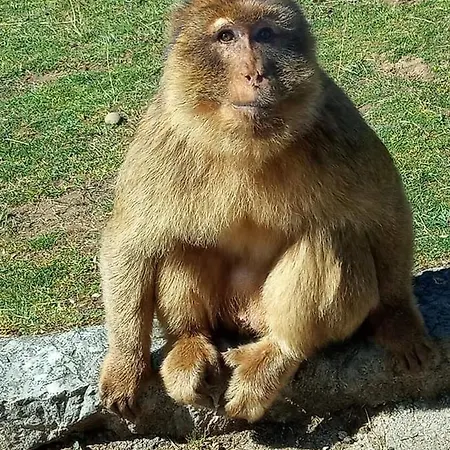 Vivienda Rural La Mazuga Cabarceno