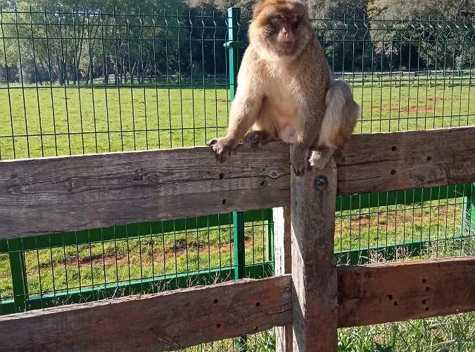Сasa de vacaciones Vivienda Rural La Mazuga *