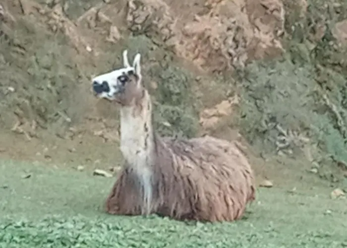 Ferienhaus Vivienda Rural La Mazuga Cabarceno
