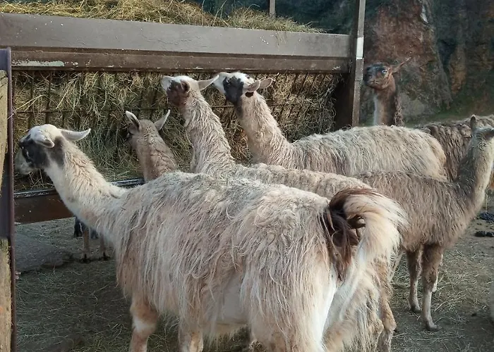 Vivienda Rural La Mazuga Сasa de vacaciones *