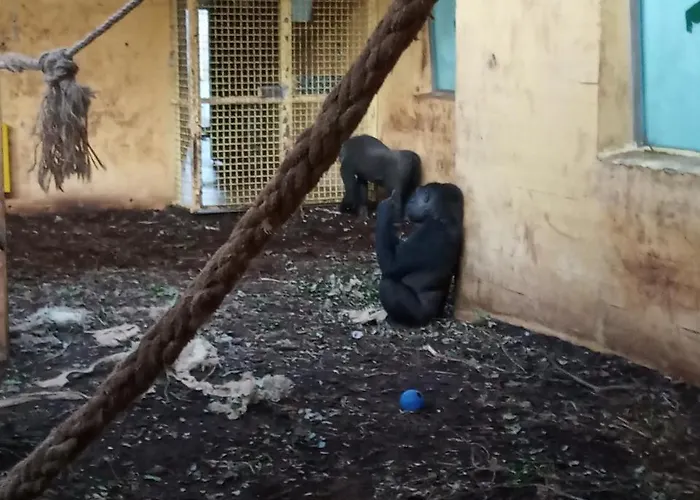 Vivienda Rural La Mazuga