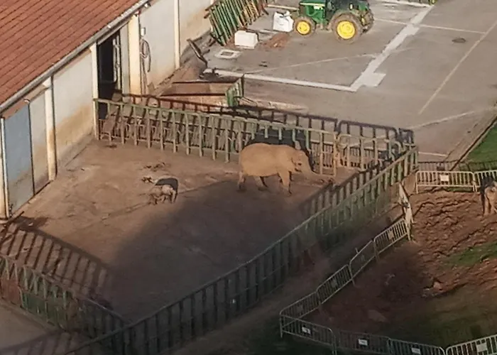 Vivienda Rural La Mazuga Сasa de vacaciones Cabarceno