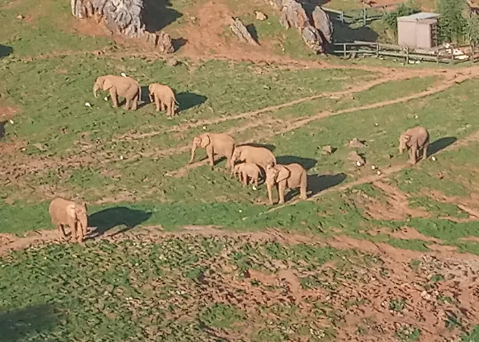 Сasa de vacaciones Vivienda Rural La Mazuga Cabarceno