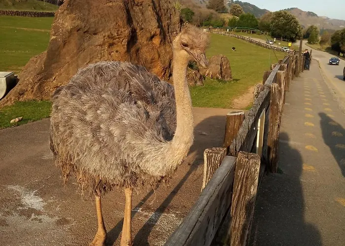 Vivienda Rural La Mazuga Сasa de vacaciones *