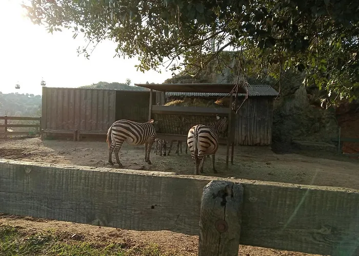 Vivienda Rural La Mazuga *