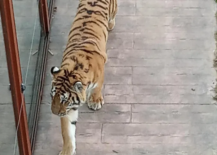 Vivienda Rural La Mazuga Cabarceno