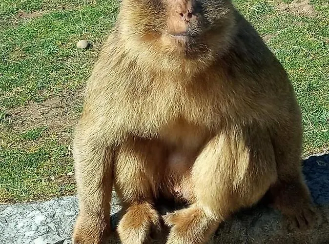 Vivienda Rural La Mazuga Cabarceno
